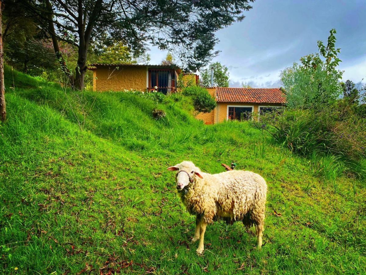 Cabana Agrreste (Adults Only) Nemocon Zewnętrze zdjęcie