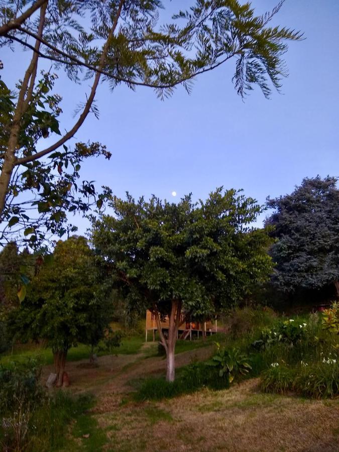 Cabana Agrreste (Adults Only) Nemocon Zewnętrze zdjęcie